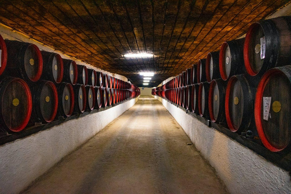 Conozca las bodegas urbanas más visitadas - Wine.com.mx