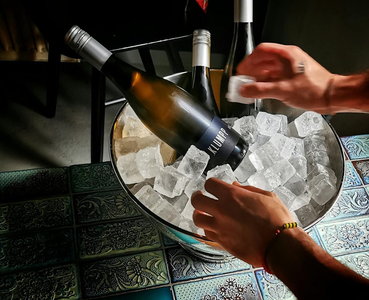 ¿Vino se bebe frío? - Wine.com.mx